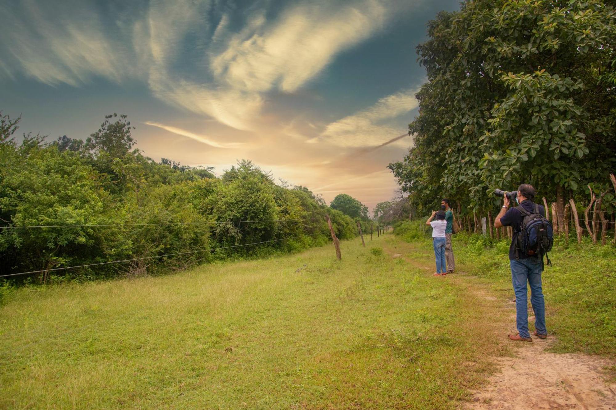Mahoora Yala - By Eco Team Hotel ภายนอก รูปภาพ